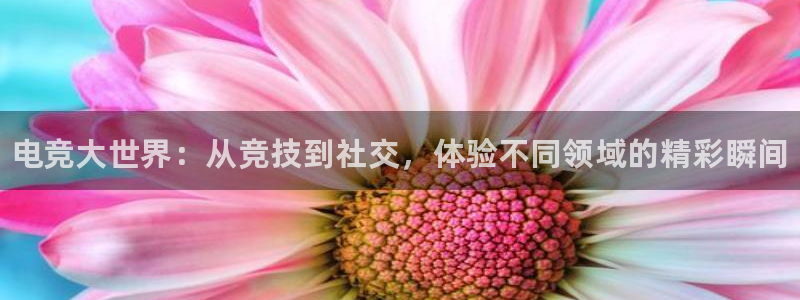 乐鱼电竞英雄联盟app官方：电竞大世界：从竞技到社交，体验不同领域的精彩瞬间