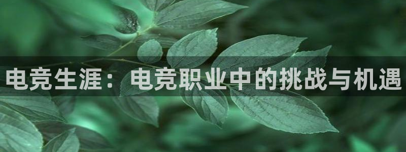 乐鱼电竞平台：电竞生涯：电竞职业中的挑战与机遇