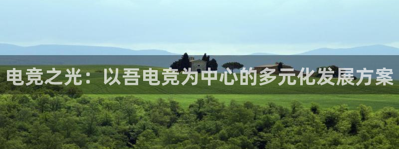 乐鱼电竞app：电竞之光：以吾电竞为中心的多元化发展方案