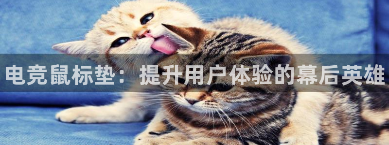 乐鱼电竞英雄联盟app官方