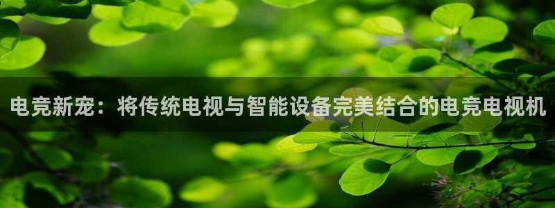乐鱼电竞app