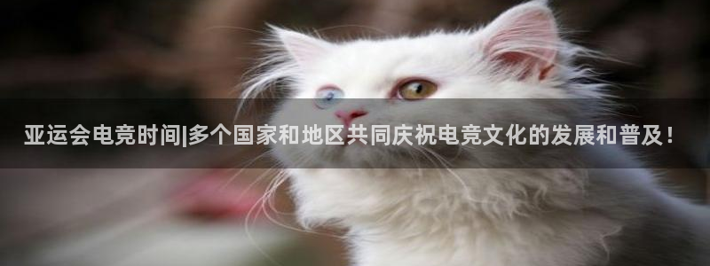 乐鱼电竞网站